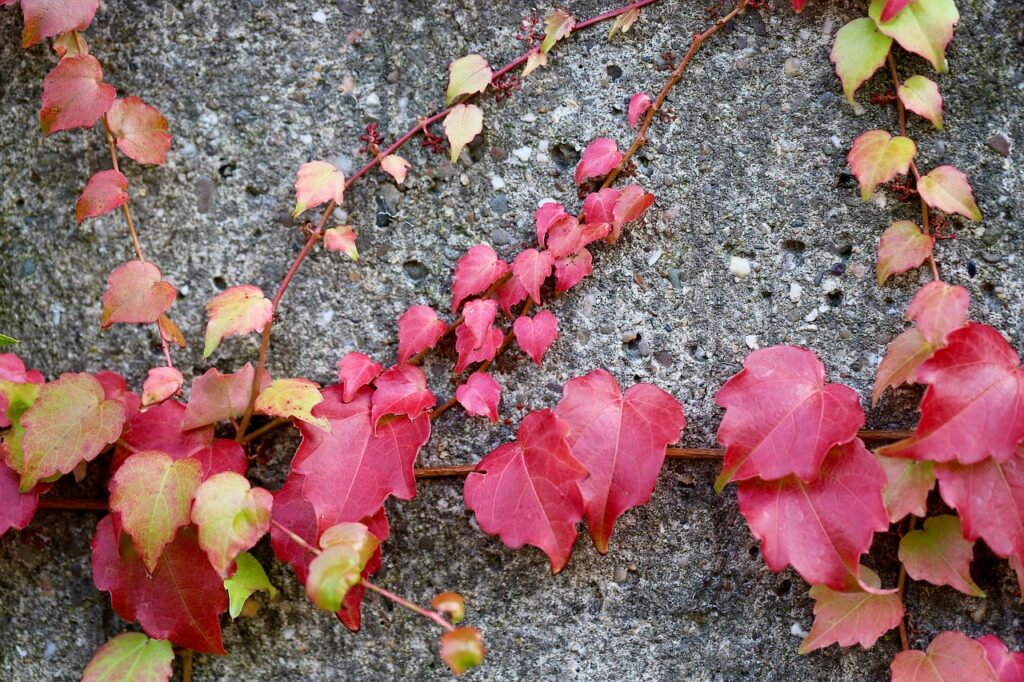 うつをセルフモニタリングするための効果的な表の作り方は？