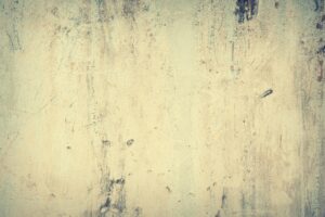 うつの高齢者を孤立から防止するための対策は？