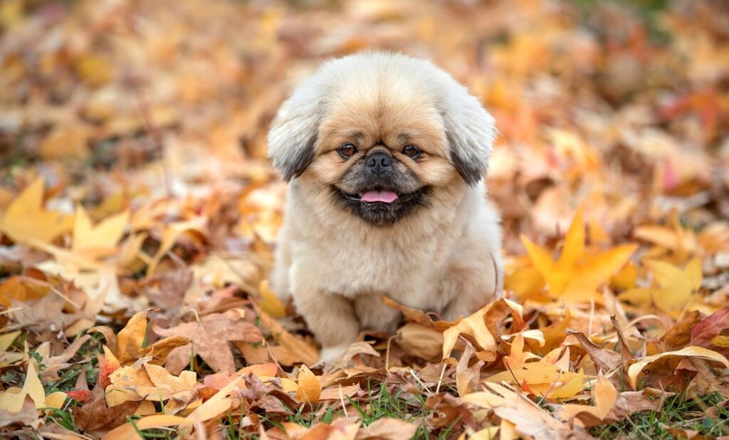 うつ自己診断テストを受けるべき理由とは？