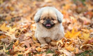 うつ自己診断テストを受けるべき理由とは？