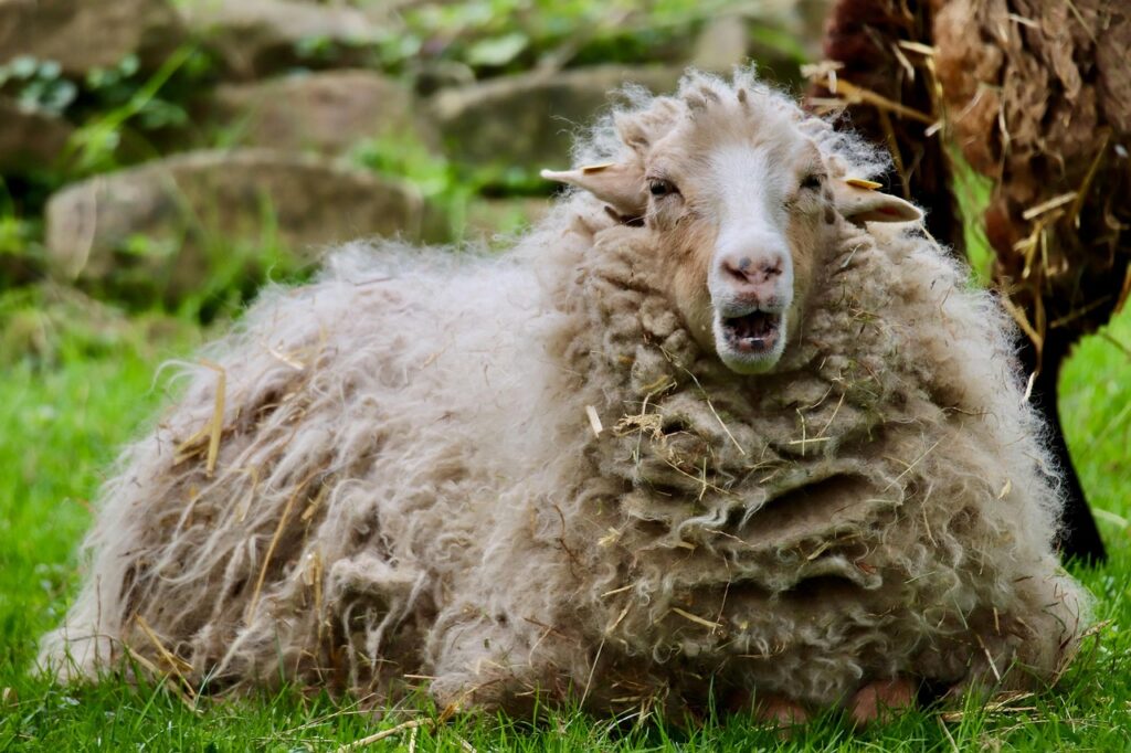 反芻思考の対策に効果的なカウンセリング方法は？