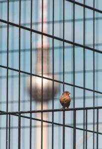 短期焦点カウンセリングがうつに与える効果とは？