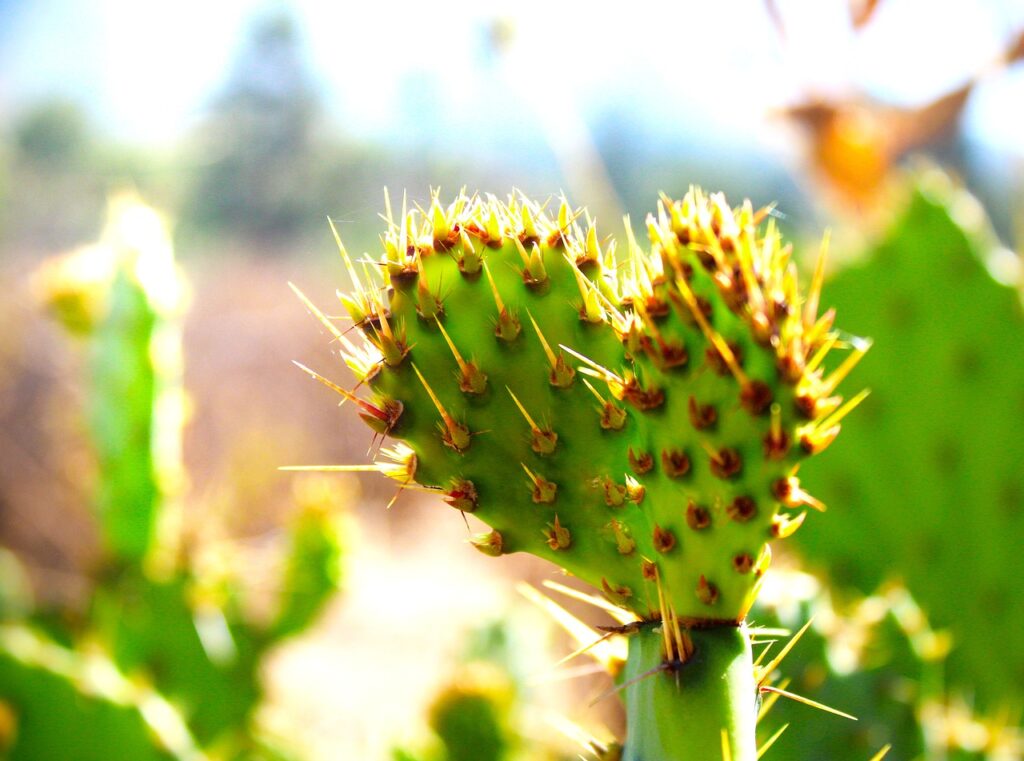 適応障害に対するカウンセリングで仕事のストレスを軽減する方法は？